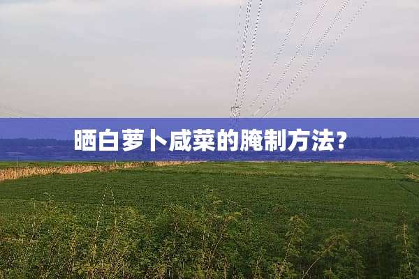 晒白萝卜咸菜的腌制方法？