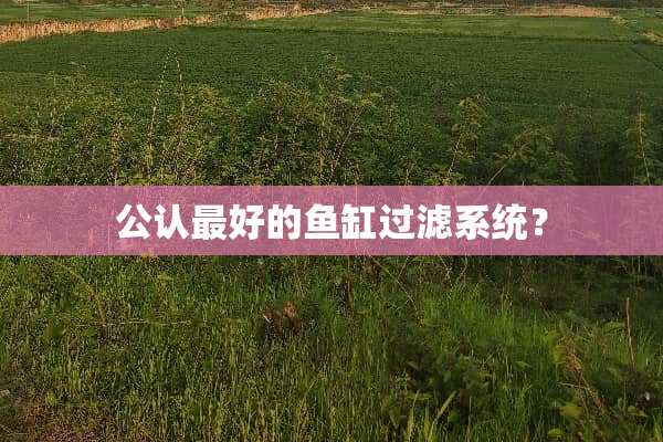 公认最好的鱼缸过滤系统？