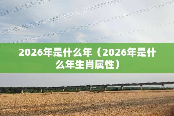 2026年是什么年（2026年是什么年生肖属性）