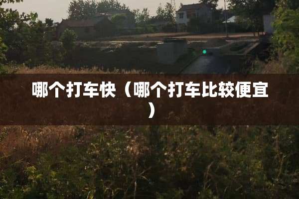 哪个打车快（哪个打车比较便宜）