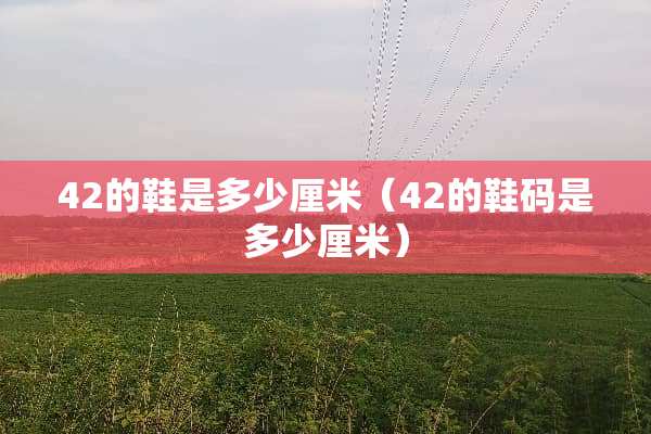 42的鞋是多少厘米（42的鞋码是多少厘米）