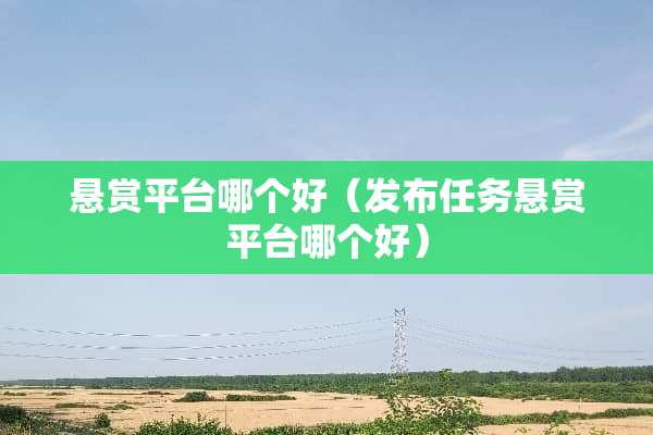 悬赏平台哪个好（发布任务悬赏平台哪个好）