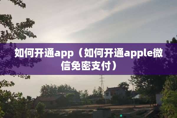 如何开通app（如何开通apple微信免密支付）