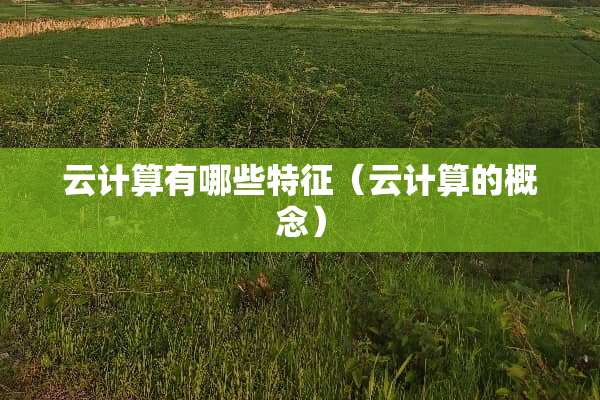 云计算有哪些特征（云计算的概念）