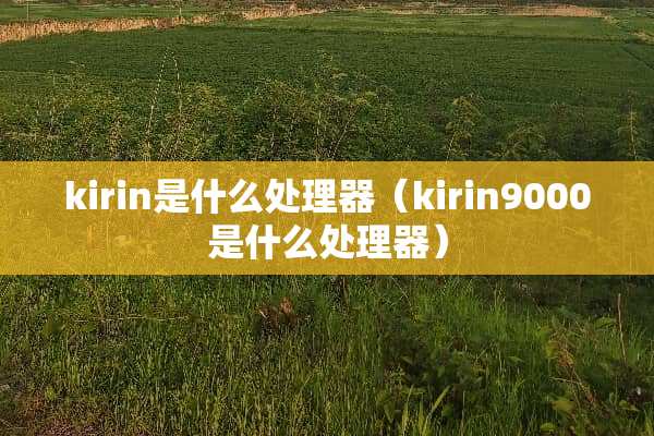 kirin是什么处理器（kirin9000是什么处理器）