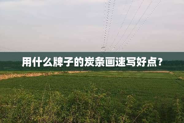 用什么牌子的炭条画速写好点？