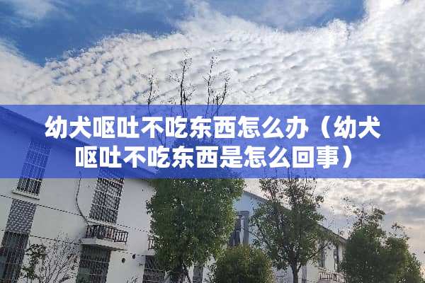幼犬呕吐不吃东西怎么办（幼犬呕吐不吃东西是怎么回事）