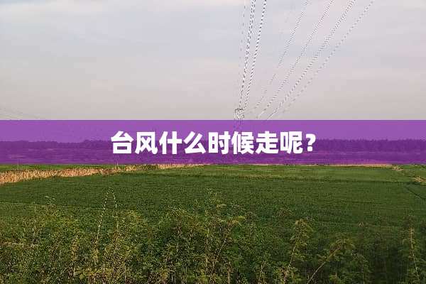 台风什么时候走呢？