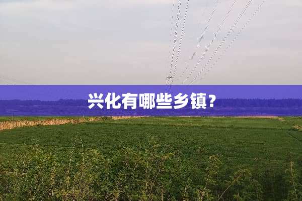 兴化有哪些乡镇？