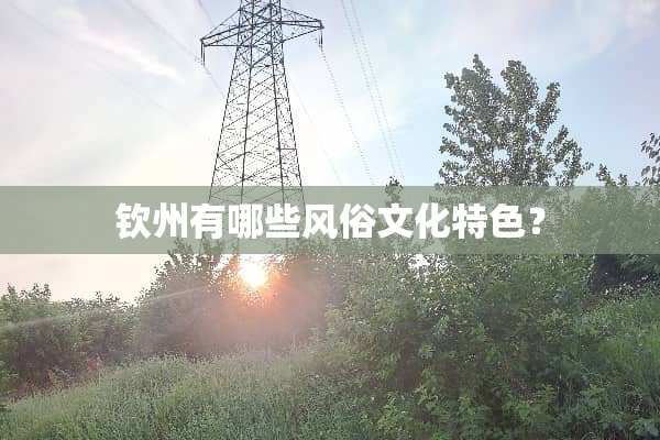 钦州有哪些风俗文化特色？
