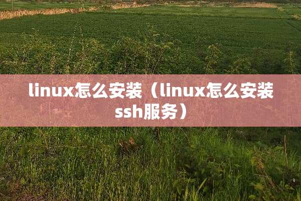 linux怎么安装（linux怎么安装ssh服务）
