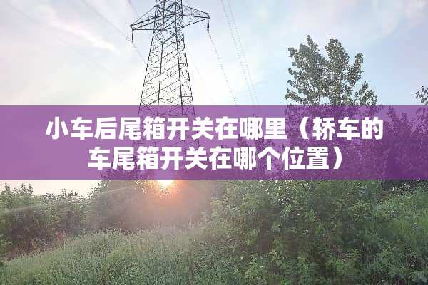 小车后尾箱开关在哪里（轿车的车尾箱开关在哪个位置）