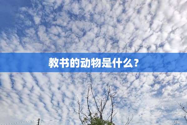 教书的动物是什么？