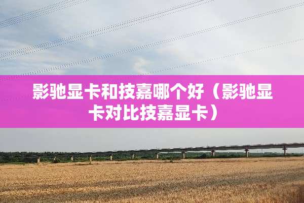 影驰显卡和技嘉哪个好（影驰显卡对比技嘉显卡）