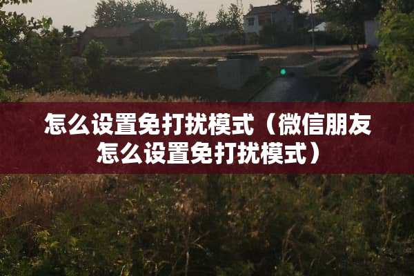 怎么设置免打扰模式（微信朋友怎么设置免打扰模式）