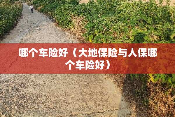 哪个车险好（大地保险与人保哪个车险好）
