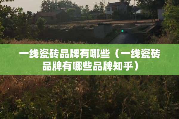 一线瓷砖品牌有哪些（一线瓷砖品牌有哪些品牌知乎）