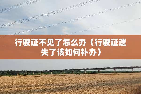 行驶证不见了怎么办（行驶证遗失了该如何补办）