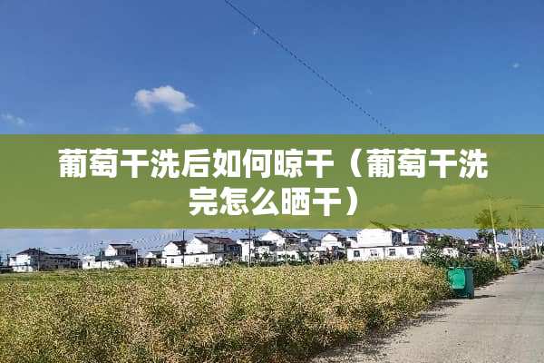 葡萄干洗后如何晾干（葡萄干洗完怎么晒干）