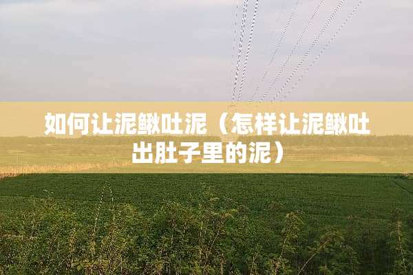 如何让泥鳅吐泥（怎样让泥鳅吐出肚子里的泥）