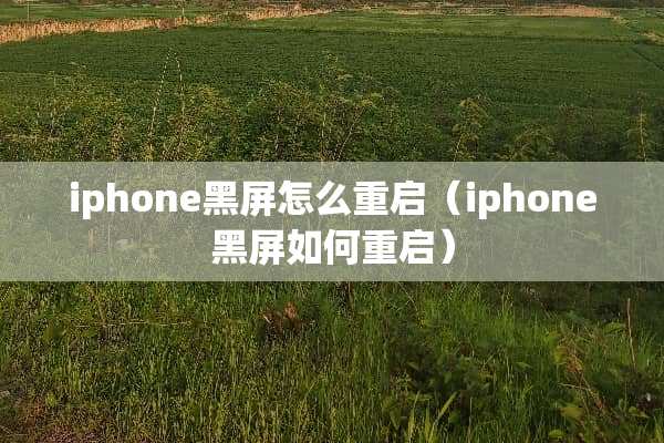 iphone黑屏怎么重启（iphone黑屏如何重启）