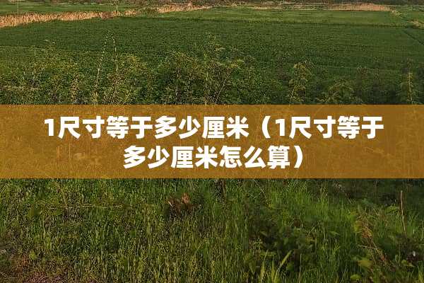 1尺寸等于多少厘米（1尺寸等于多少厘米怎么算）