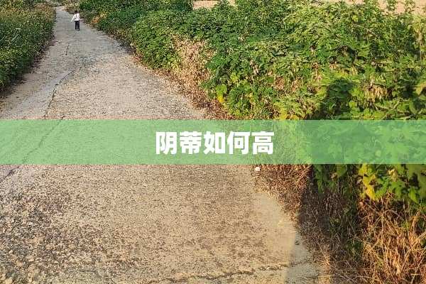 *蒂如何高