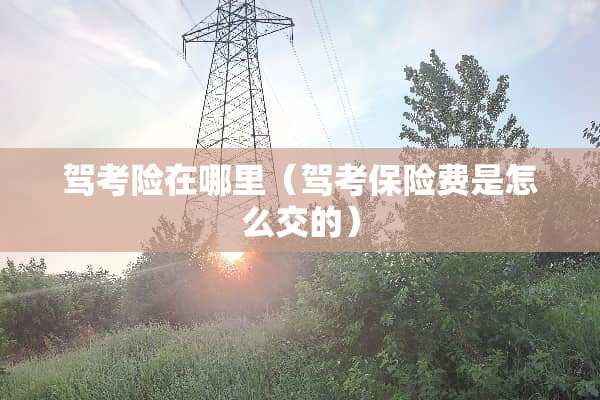 驾考险在哪里（驾考保险费是怎么交的）