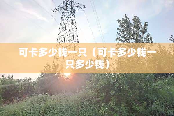 可卡多少钱一只（可卡多少钱一只多少钱）