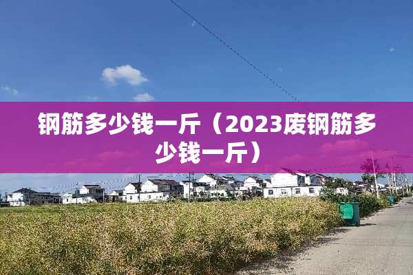 钢筋多少钱一斤（2023废钢筋多少钱一斤）