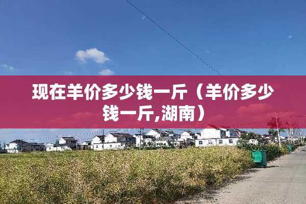 现在羊价多少钱一斤（羊价多少钱一斤,湖南）