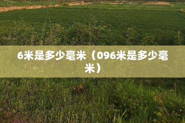 6米是多少毫米（096米是多少毫米）
