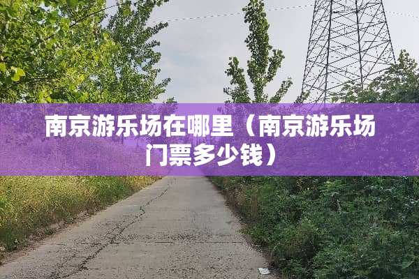 南京游乐场在哪里（南京游乐场门票多少钱）