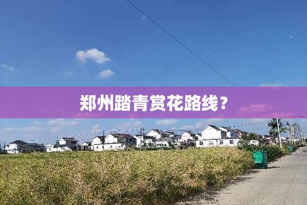 郑州踏青赏花路线？