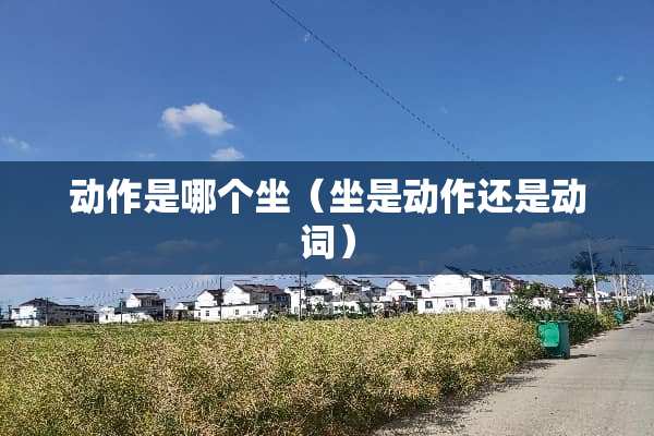 动作是哪个坐（坐是动作还是动词）
