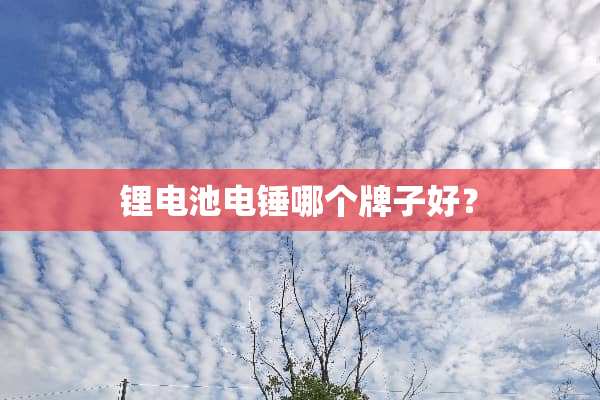 锂电池电锤哪个牌子好？