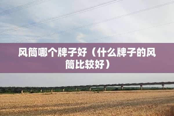 风筒哪个牌子好（什么牌子的风筒比较好）