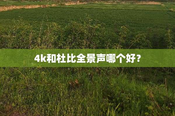 4k和杜比全景声哪个好？