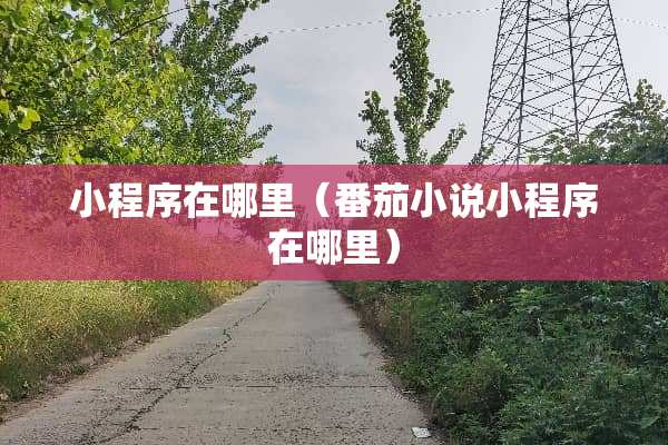 小程序在哪里（番茄小说小程序在哪里）