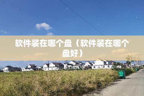 软件装在哪个盘（软件装在哪个盘好）