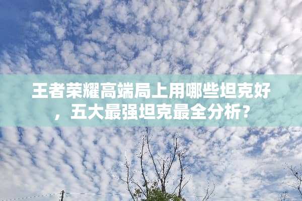 王者荣耀高端局上用哪些坦克好，五大最强坦克最全分析？