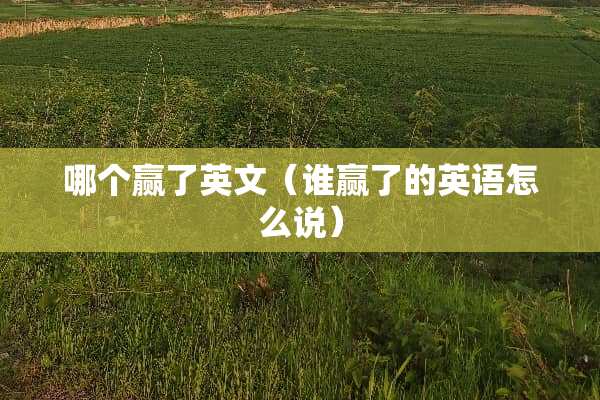 哪个赢了英文（谁赢了的英语怎么说）