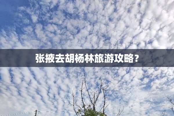 张掖去胡杨林旅游攻略？