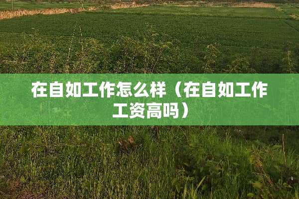 在自如工作怎么样（在自如工作工资高吗）