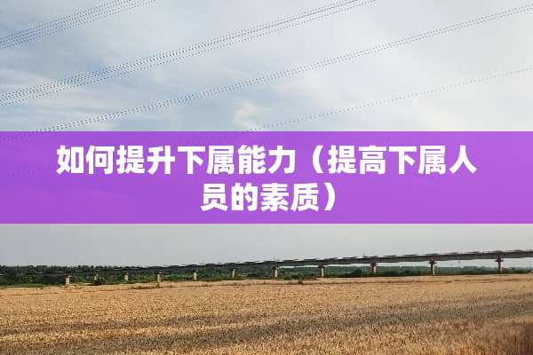 如何提升下属能力（提高下属人员的素质）