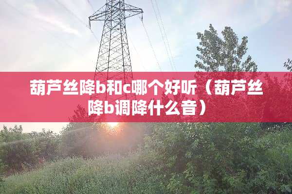 葫芦丝降b和c哪个好听（葫芦丝降b调降什么音）