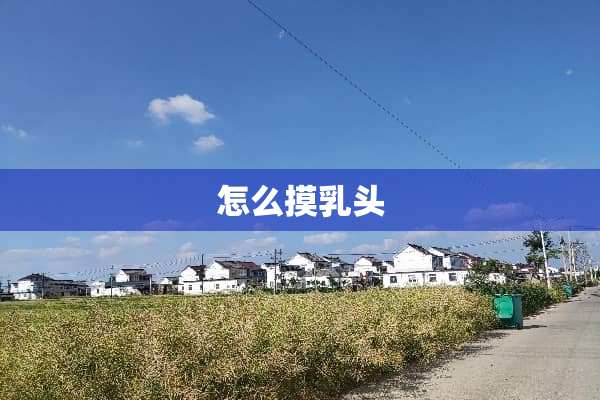 怎么摸*头
