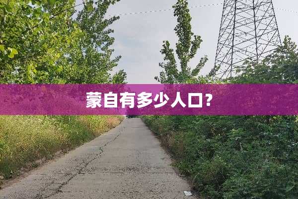 蒙自有多少人口？