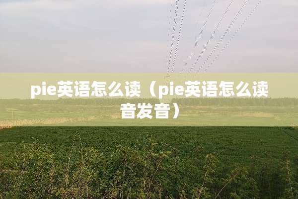 pie英语怎么读（pie英语怎么读音发音）