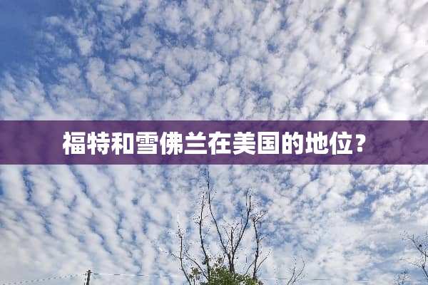 福特和雪佛兰在美国的地位？